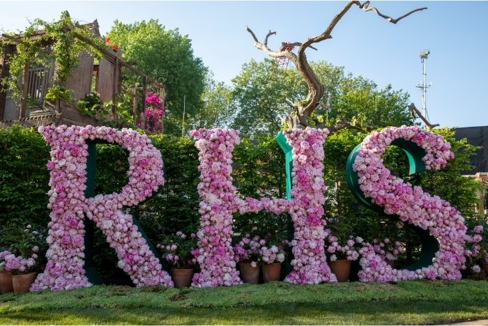 Large RHS letters covered in pink flowers at Chelsea Flower Show