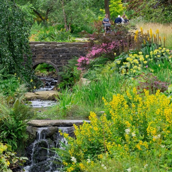 Spring flowers lining the stream and stone bridge at RHS Garden Harlow Carr