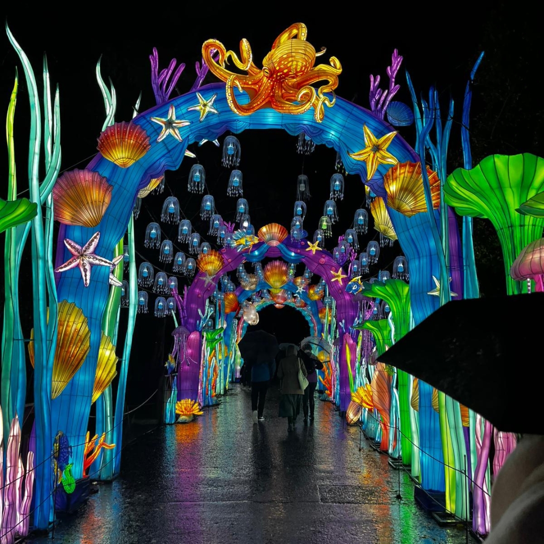 Giant lantern display at Edinburgh Zoo, illuminated at night