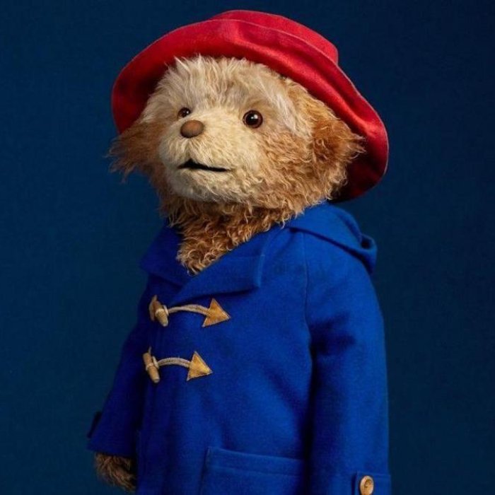 Paddington in his famous red hat and blue coat on stage