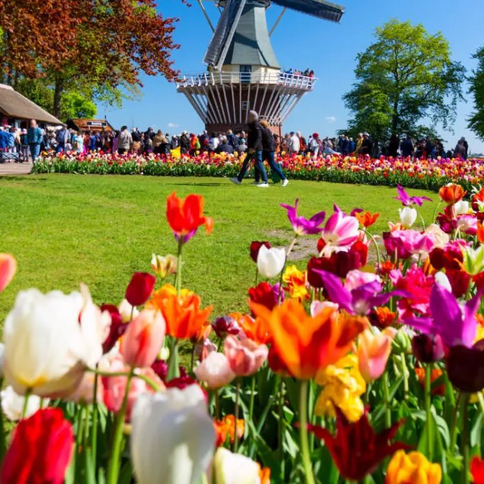 Keukenhof Gardens Mini Cruise